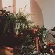 miya88の画像