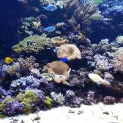 anpy　☆おまとめ割あり☆の画像