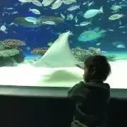 MY(プロフィールを見てくださいね)の画像