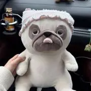 やまにっしー