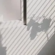 Nの画像