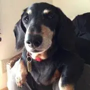 Aguri’sMama