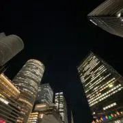 うめぼしの画像