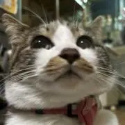 りんた。※いいね‪✕‬‪‪ 即購入◎の画像