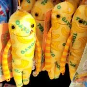 AYuMiの画像