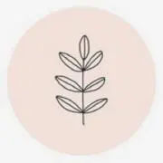 の