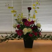 amo(引っ越しのため次回3/29発送)