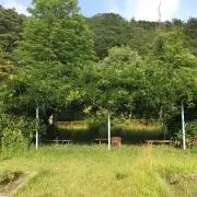ほうほうの画像