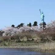 かほるぅ