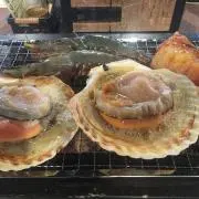 Bnsh=の画像