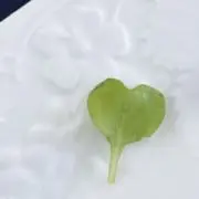 ♥︎Ｋ♥︎お値下交渉は金額提示願いますの画像