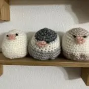 ｇｕｍｉの画像