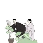 かあの画像