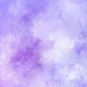 わん＊売り切りたいため値下げ中の画像