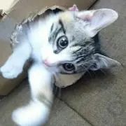 まっち