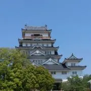 YMMYの画像