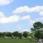はっとの画像