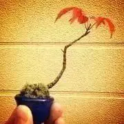 びりーの画像