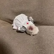 りんの画像