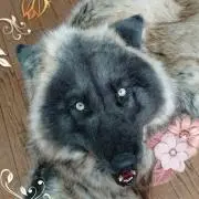 ＊りぐ＊