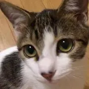 tama プロフ必読❣️の画像
