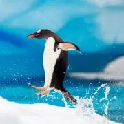 シオン