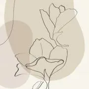 セプトの画像