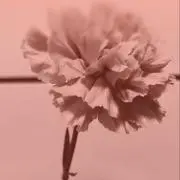 2525☺︎の画像