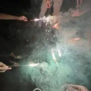 アルイの画像