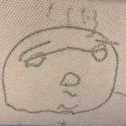 もれの画像