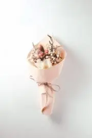 なおの画像