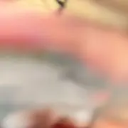 Rの画像