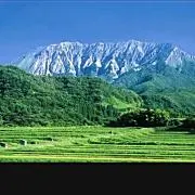 はなまま プロフ必読♪