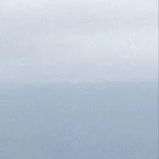 ゆの画像