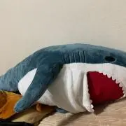 そら