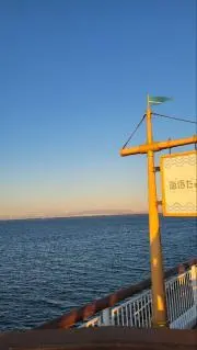 SAOI