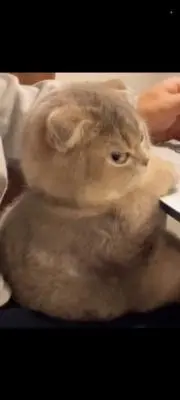 ひー