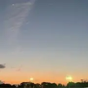 ゆめねこ☆プロフ読んでくださいの画像
