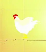 トリの画像