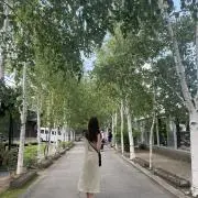 ありさ