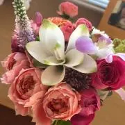 makomako☆の画像