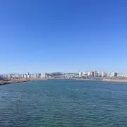 Piyoの画像
