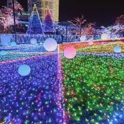 つなの画像