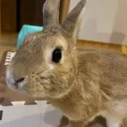 まーみんの画像