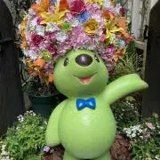 kogumakoの画像