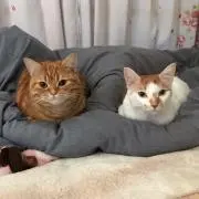 由紀(^^)
