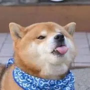 ヌルマゴメドフ