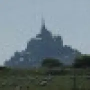 タカ