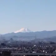 ほととぎすの画像
