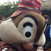 ミラコスタの画像